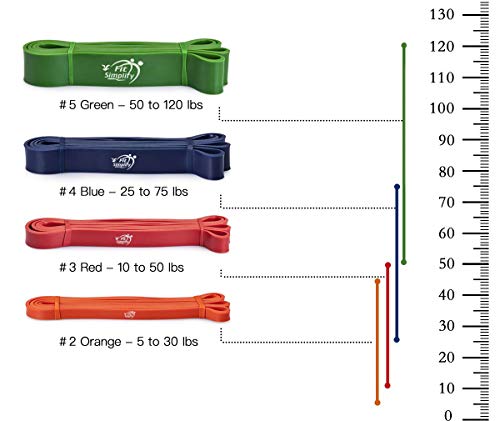 Fit Simplify Pull Up Assist Resistance Bands for Fitness, Physical Therapy, Stretching, Mobility and Exercise - color: Orange