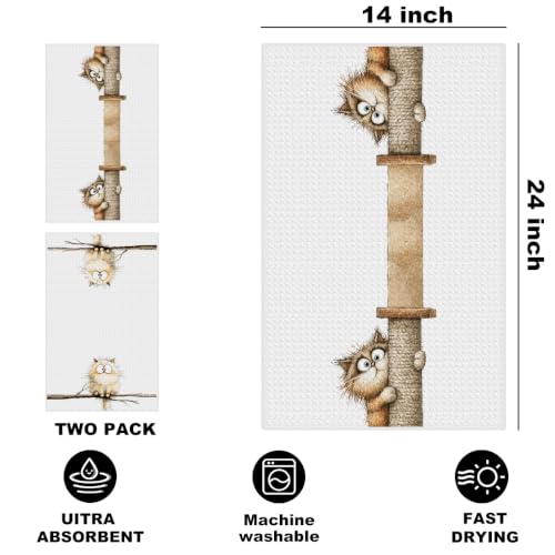 2 Pcs Funny Cat Kitchen Towels, Cute Cats Gifts Reusable Hand Towels-03 | Cat Dish Cloths for Drying Dishes, Cats Waffle Dish Towels for Kitchen Bathroom Decor, Cat Lover Gifts for Women Mom Grandma - color: Multi 1634