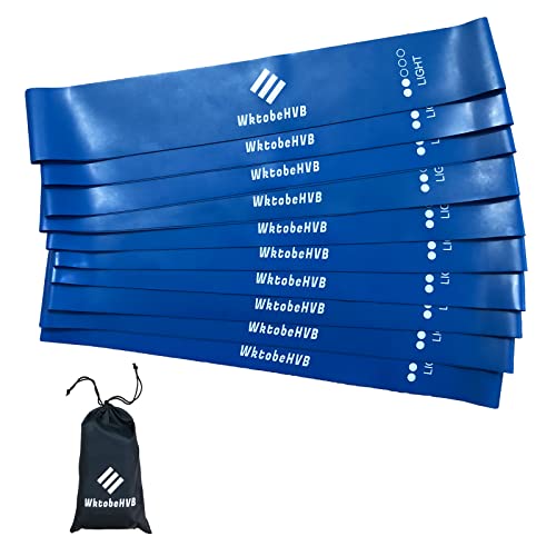 Resistance Loop Exercise Bands-5/10 Pack-10/12 Inch Stretch Bands for Working Out with Carry Bag-Elastic Bands for Physical Therapy, Rehab, Yoga, Pilates and Strength Training at Home or Gym - color: Blue 10 Pack (Light), size: 12×2 Inch
