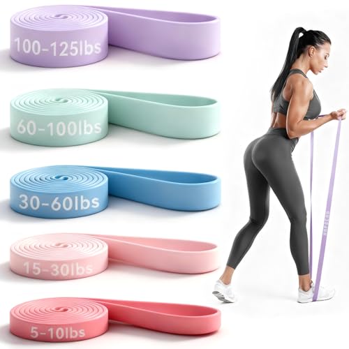 HAPBEAR Pull Up Assistance Bands - Pull Up Bands - Resistance Bands - Exercise Bands Resistance Bands Set of 5 - Workout Bands for Working Out, Stretching, Muscle Training - color: Pink-Purple
