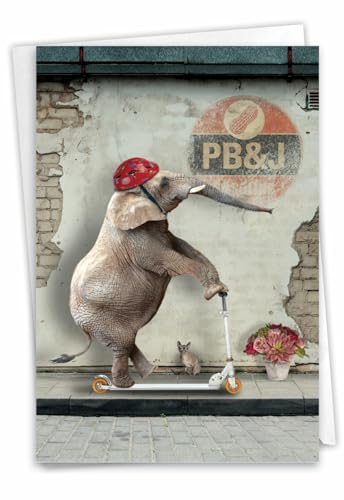 Best Card Co 1 Birthday Card Elefantasy Elephant Scooter C6579DBDG - style: Elefantasy