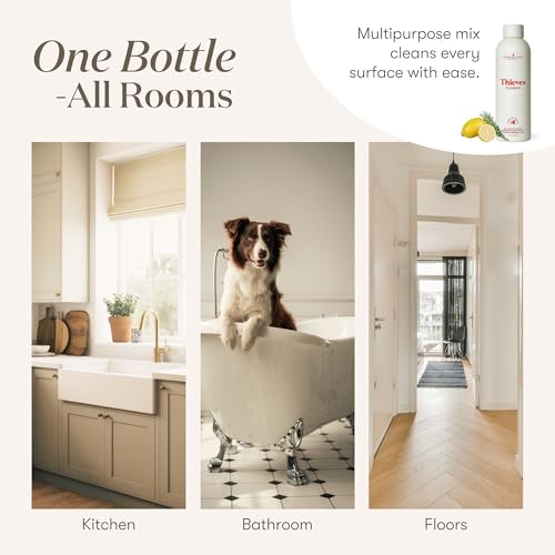 Thieves Household Cleaner | 14.4 oz | Plant-Based Multi-Surface Solution Infused with Essential Oils | Dilute for Floors, Carpets, Glass, Counters, Appliances, and General Home Cleaning - size: 14.4 Fl Oz (Pack of 1)