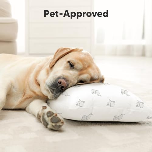 Toddler Pillow with Pillowcase, 13x18 My Little Dreamy Pillow (Elly) - color: Elly