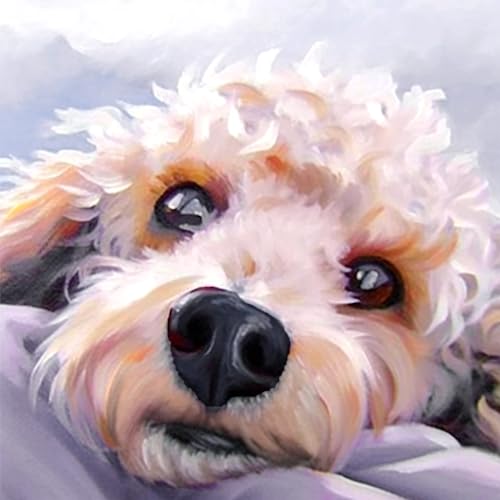 Diymood DIY 5D Diamond Painting Kits for Adults Dog Puppy - Diamond Art Kits for Adults Animal | Full Drill Round | Crystal Mosaic Picture | Beginner | Home Wall Decor | 12x12 Inch - color: Colorful2