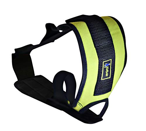 Smart Stretch Strap for Foot, Calf & Hamstring Muscles. Guided Stretching Device for Posture Correction, Plantar Fasciitis, Arch Development & Other Leg & Foot Stretches.