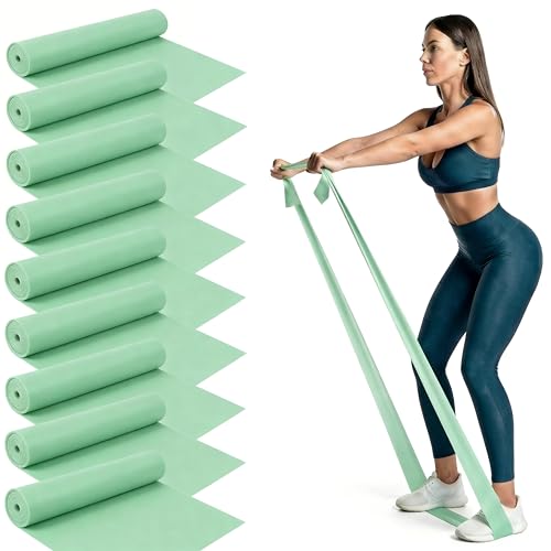 Shappy 10 Pack Resistance Bands, 5.4ft Long Exercise Band Bulk, Non-Latex Elastic Stretch Bands for Physical Therapy, Stretching, Rehab, Yoga, Pilates, Gym, Home Exercise - size: 20 lbs