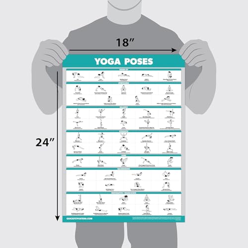 Palace Learning QUICKFIT 3 Pack - Yoga Poses + Stretching Exercises + Pilates Mat Work Poster Set - Set of 3 Workout Charts (with Plastic Frame, 18" x 24") - color: with Plastic Frame