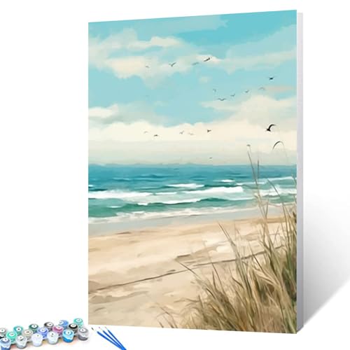 Tucocoo Seaside Beach Paint by Numbers Kits 16x20 inch Canvas DIY Oil Painting for Kids, Students, Adults Beginner with Brushes and Acrylic Pigment Beach Scenery Landscape Decor Photo Gift(DIY Frame) - color: Beach Scenery 06, size: 16''x20''(DIY Frame)
