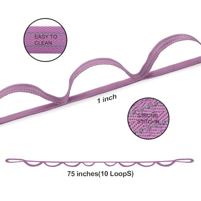 A AZURELIFE Premium Durable Stretch Straps with Loops, Stretching Strap for Physical Therapy, Multi-Loop Yoga Strap Fitness Exercise Strap for Yoga, Pilates, Dance, Flexibility&Exercise - color: #2-Purple