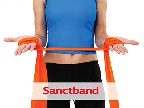 (Made in Malaysia) 3 Level 5 Ft Sanctband Exercise Resistance Bands for Stretching, Fitness or Physical Therapy Pilates Rehab