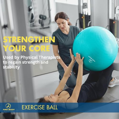 ProBody Pilates Yoga Ball - Gym Grade Exercise Ball - color: Black, size: M: 19-22 inches/48-55 cm