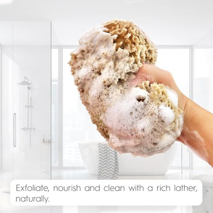 Naroa Exfoliating Natural Sponge for Shower Large | Bath Sea Loofah for Healthy Skin | Unbleached Bathing Body Scrubber Puff | Plastic Free (L)