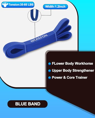 Resistance Bands Set, Pull Up Assist Bands - Stretch Resistance Band - Mobility Band Powerlifting Exercise Bands for Resistance Training, Physical Therapy, Home Workouts - color: Blue