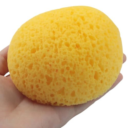 2 Pcs Natural Sponge for Painting, Yellow | Orange Peel Texture, Drywall Repair, Acrylic, Watercolor, Pottery, Creates Natural Wall & Art Textures - color: Yellow