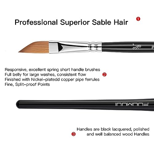 Sable Watercolor Brushes Professional Kolinsky Sable Brushes 7pcs - Dagger, Pointed Rounds, Rigger, Long Flat, Fan Brush Set for Watercolor Gouache Acrylic Inks Painting - color: Black