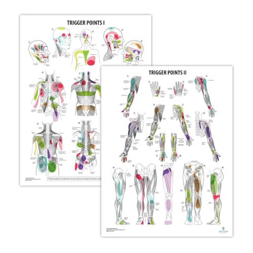 Anatomy Lab Trigger Points I & II Poster Set