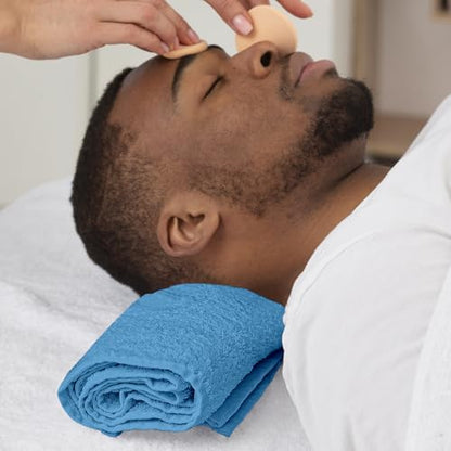 Reed&Pick Hand Towels (Pack of 24) Light Blue Economy Towels Salon Towels - 100% Cotton Spa Towel – 16 x 26 Inches Highly Absorbable, Facial Gym Hair Towel Face Towel Bulk - color: Blue, size: 16x27 Pack of 24