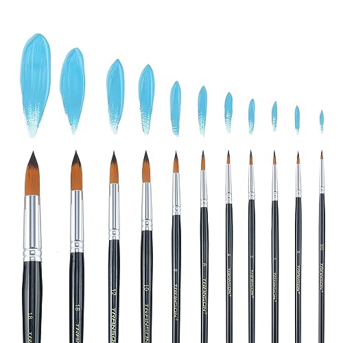Transon 11pcs Round Paint Brush Basic Set for Watercolor, Acrylic, Gouache, Ink, and Tempera Painting (Pack of 3) - size: Round 11 PCS (Pack of 3)