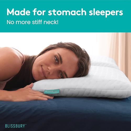BLISSBURY King Stomach Sleeper Pillow, Flat Memory Foam, 2.6 Inch - color: White, size: 2.6"H (King)
