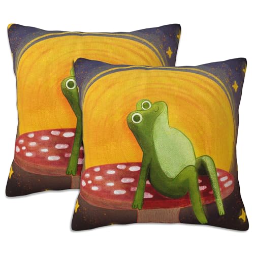Throw Pillow Covers Frog in a Mushroom Night Pillow Covers 18x18 Inch Set of 2 Throw Pillows Decorative Pillow Cases Cushion Covers for Bedroom Livingroom Sofa Farm House - color: Frog in a Mushroom Night