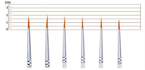 Fine Detail Paint Brush Set, 6 Pieces Miniature Art Brushes for Fine Detailing,Art Painting - Acrylic, Watercolor, Oil - Miniatures, Models, Airplane Kits, Nail