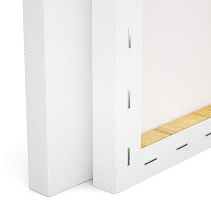 Stretched Canvas, 8x10 Inch Set of 10, Primed White | 100% Cotton Artist Canvas Boards for Painting, Acrylic Pouring, Oil Paint Dry & Wet Art Media - color: White, size: 8"x10"