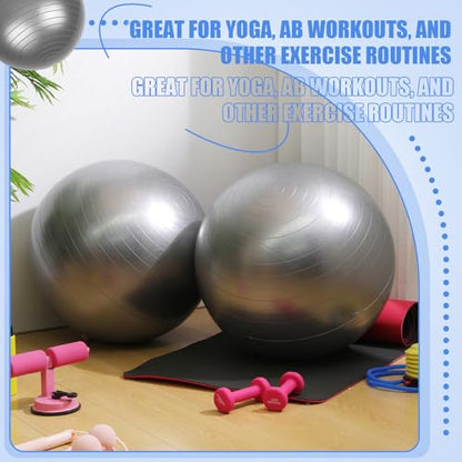 Leyndo 4 Pcs 26 Inch Yoga Exercise Ball Pilates - color: Gray