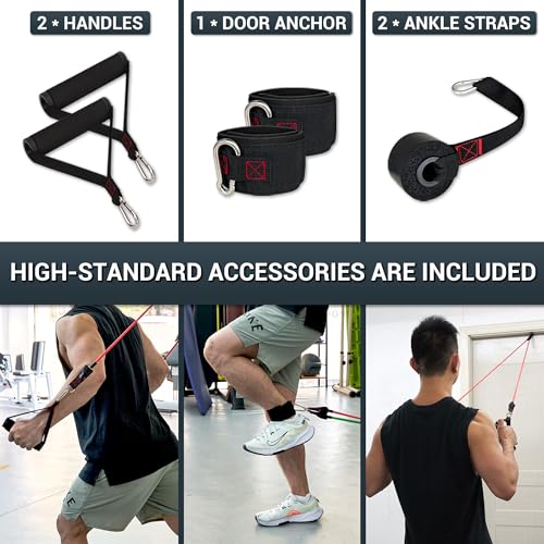 TheFitLife Resistance Bands Set with Handles, Door Anchor and Ankle Straps | Workout Bands for Muscle Strength Training, Home Gym Fitness, Full Body Exercise for Men, Women, Pilate, and Physical Therapy