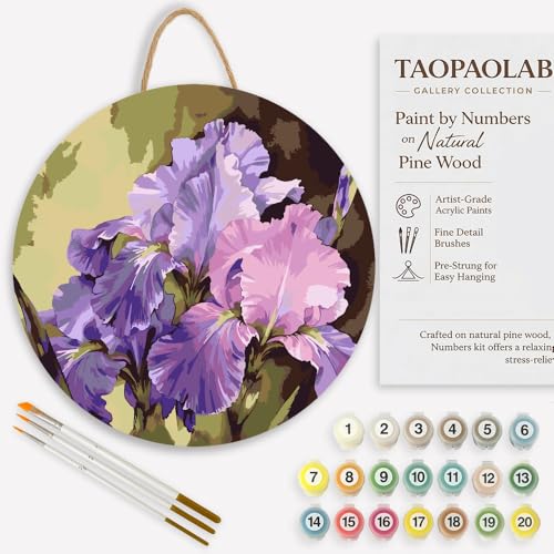 Beauty of Spring Paint by Numbers Kit for Adults on Wood Board – DIY Purple and Pink Iris Flowers Wood Craft Painting Kit, 12 in Round, Acrylic Paint Set, Beginner-Friendly, Relaxing Home Decor Gift - color: FM05010