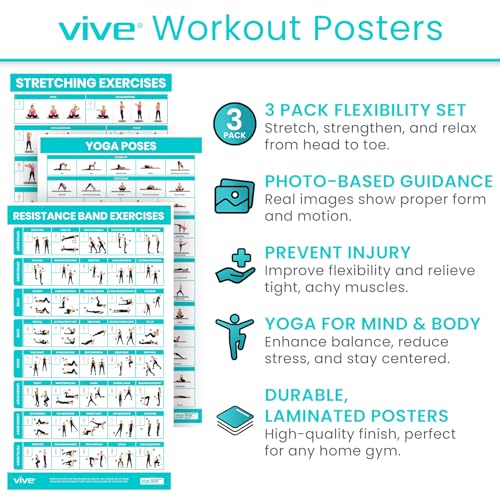 Vive 3 Pack Workout Posters for Home Gym - Yoga Poses, Stretching Exercises