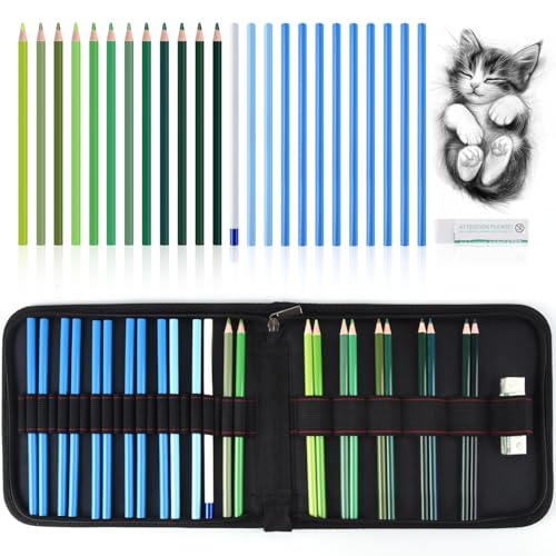 Professional Drawing Set,12 Colored Pencils,12 Graphite Pencils,Eraser,Case | Portable Travel Colored Pencil Case,Sketching Shading Blending Art Supplies,Gifts for Artists Adults Beginners.Green Black - color: Set-Green