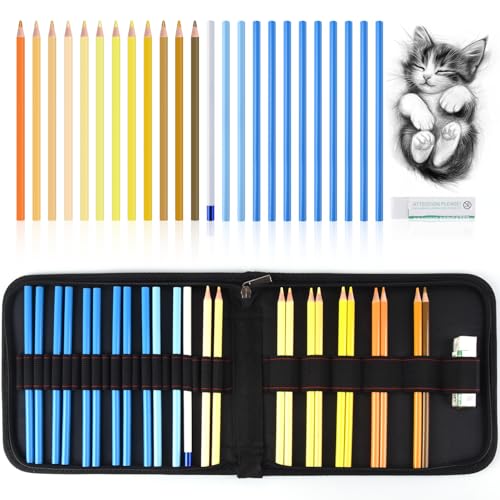 Professional Drawing Set,12 Colored Pencils,12 Graphite Pencils,Eraser,Case | Portable Travel Colored Pencil Case,Sketching Shading Blending Art Supplies,Gifts for Artists Adults Beginners.Yellow Black - color: Set-Yellow