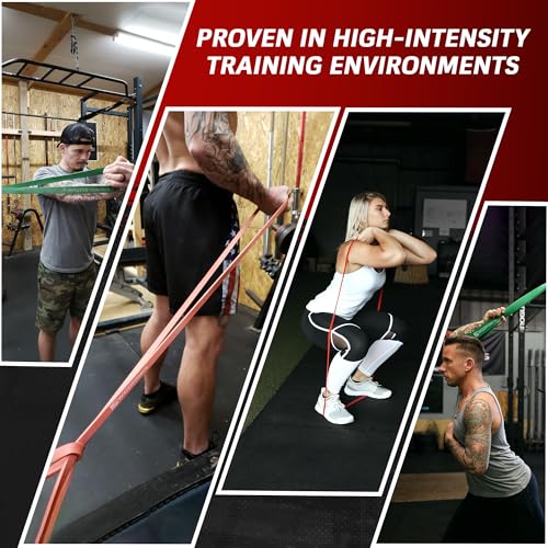 WODFitters Pro Series Pull-Up Assistance Bands – Premium Resistance Loop Bands for Assisted Pull Ups, Muscle Ups, Strength Training & Mobility – Durable Bands for Functional Fitness - color: 4 Band Set