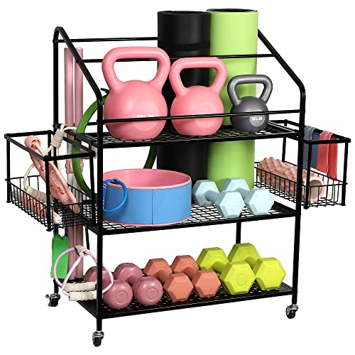 Workout Equipment Storage, Exercise Equipment Storage, Home Gym Organizer - color: Old Model