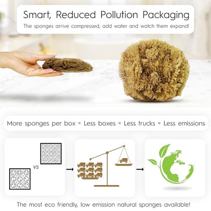 Naroa Exfoliating Natural Sponge for Shower Large | Bath Sea Loofah for Healthy Skin | Unbleached Bathing Body Scrubber Puff | Plastic Free (L)