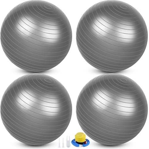 Leyndo 4 Pcs 26 Inch Yoga Exercise Ball Pilates - color: Gray