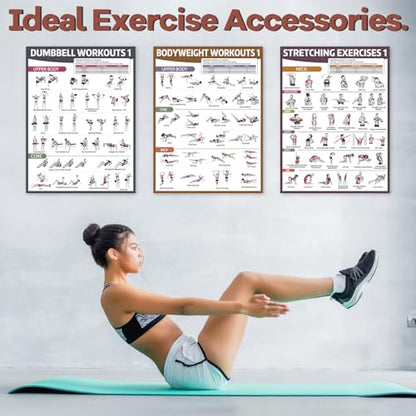 gisgfim 6PCS Workout Posters for Home Gym Dumbbell Bodyweight Stretching Workout Exercise Chart - color: Retro
