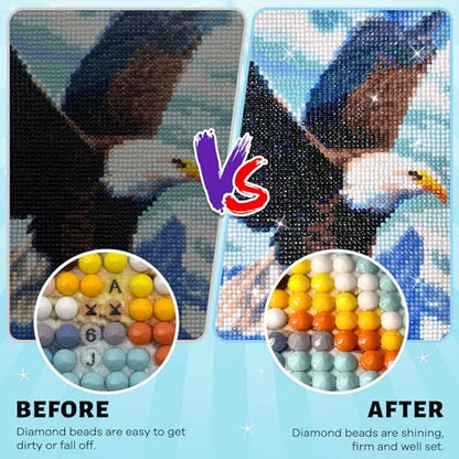 Diamond Painting Sealer Kits 240ML with 2 Silicone Brushes,2 Pack Diamond Art Glue Sealer,Diamond Painting Glue Glossy Finish Accessories,Permanent for Gem Painting,Puzzles,Coaster.(8OZ) - color: J002-diamond sealer 240ML