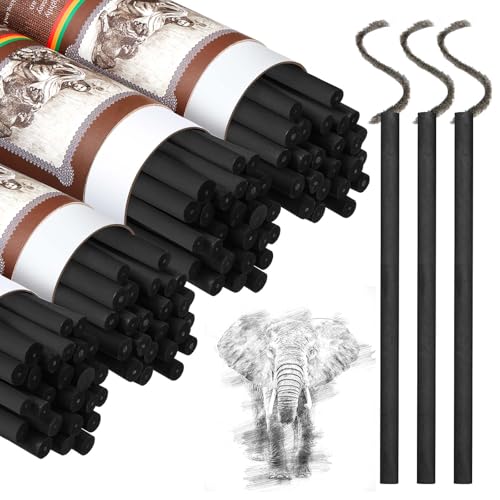 Gueevin 100 Pcs Soft Willow Charcoal Sticks Drawing,5-7mm | For Artists Beginners Students, Vine Charcoal Bulk for Sketching Shading Fine Art, Assorted Sizes, Back to School Gifts - size: 5-7mm