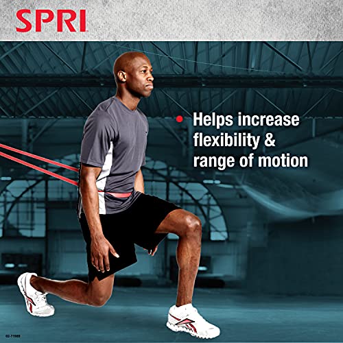 SPRI Resistance Training and Exercise Pull Up Bands - 3 Pack - Durable, Strong, Resistance Loop Bands for Assisted Pull-Ups, Strength Training, Increasing Stamina, and Flexibility