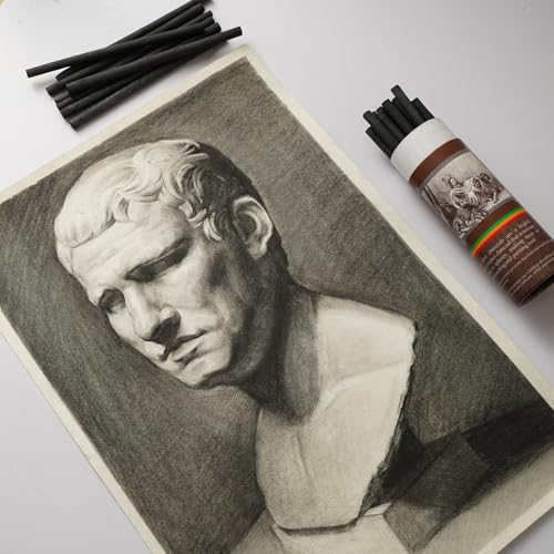25 PCS Willow Charcoal Sticks, Ideal for Artists, Beginners, Students, Perfect for Sketching, Drawing, Shading, and Fine Art, 5.7 Inches Long, 2-4,4-5,5-7,7-9 (2-4) - style: 2-4