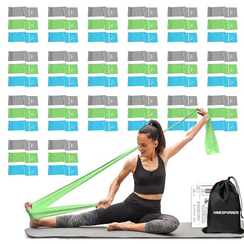 HIMESPORNER 60 Pcs Bulk Resistance Bands Latex-Free for 20 Team Members | Suitable for 20 members, 3 Pieces Each Set, TPE Exercise Bands for Physical Therapy, Yoga, Pilates