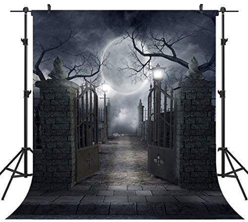 8X8FT Halloween Theme Pictorial Cloth Seamless Customized Photography Backdrop Background Studio Prop TP17B - size: 8X8FT