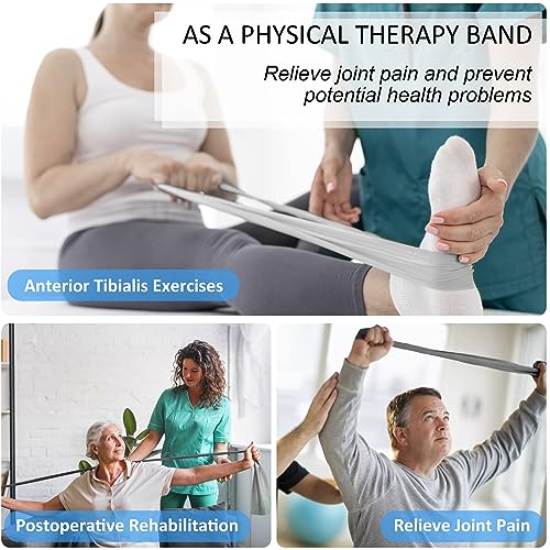 Resistance Bands Set for Physical Therapy, Rehab, Yoga and Pilates - color: Gradient Gray 10-115lbs