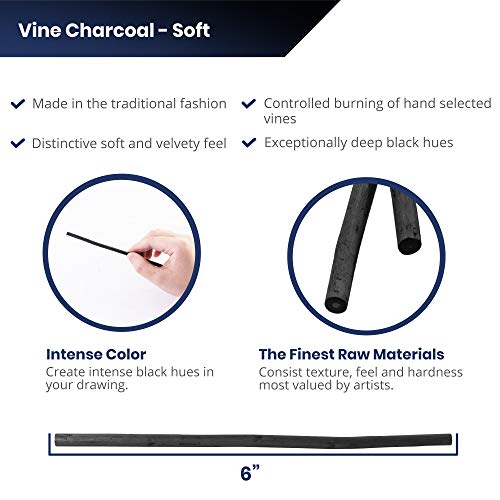 Pacific Arc Artist Vine Charcoal, Soft, Black 12 Pieces, Artist Vine Charcoal Sticks, Extra Soft and Smooth Drawing Charcoal - style: Soft | 12 Sticks
