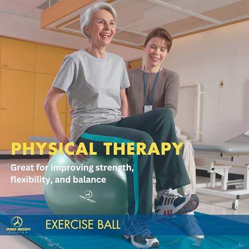 ProBody Pilates Yoga Ball - Vibrant Colors Exercise Ball - color: Mist, size: L: 23-26" (65 cm)