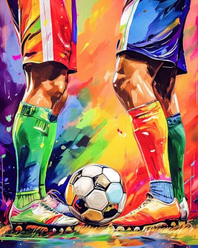 Paint by Numbers Kit for Adults, Soccer Match Number Painting, 16 x 20 Inch | DIY Adult Paint by Number Kit on Canvas for Beginners, without Frame, Sports Wall Decor, Stress Relief Craft Gift - color: TRTDNF1P413