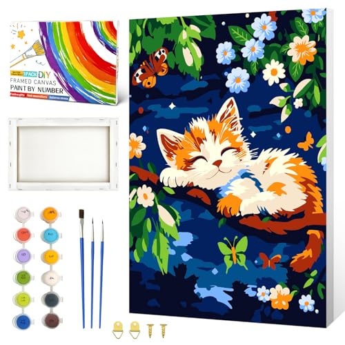 ZTOTZ Paint by Numbers for Adults Beginner,Cat Sleeping on the Tree | With Frame Canvas 8x12inch,Paint by Number for Kids Age 4- 8-12,Flower Color by Number Kits for Home Wall Decor - color: A-13-cat