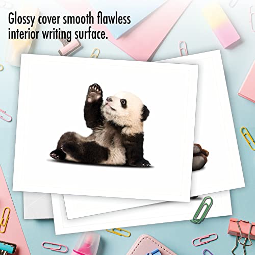 The Best Card Company - 10 Blank Yoga Note Cards (4x 5.12 Inch) - Boxed Notecards with Envelopes, Cute Animal Cards, Zen Assortment - Zoo Yoga M6547OCB - style: Zoo Yoga