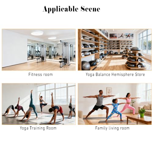 Exercise Ball Holder Wall Mount,Yoga Balance Trainer Storage Rack